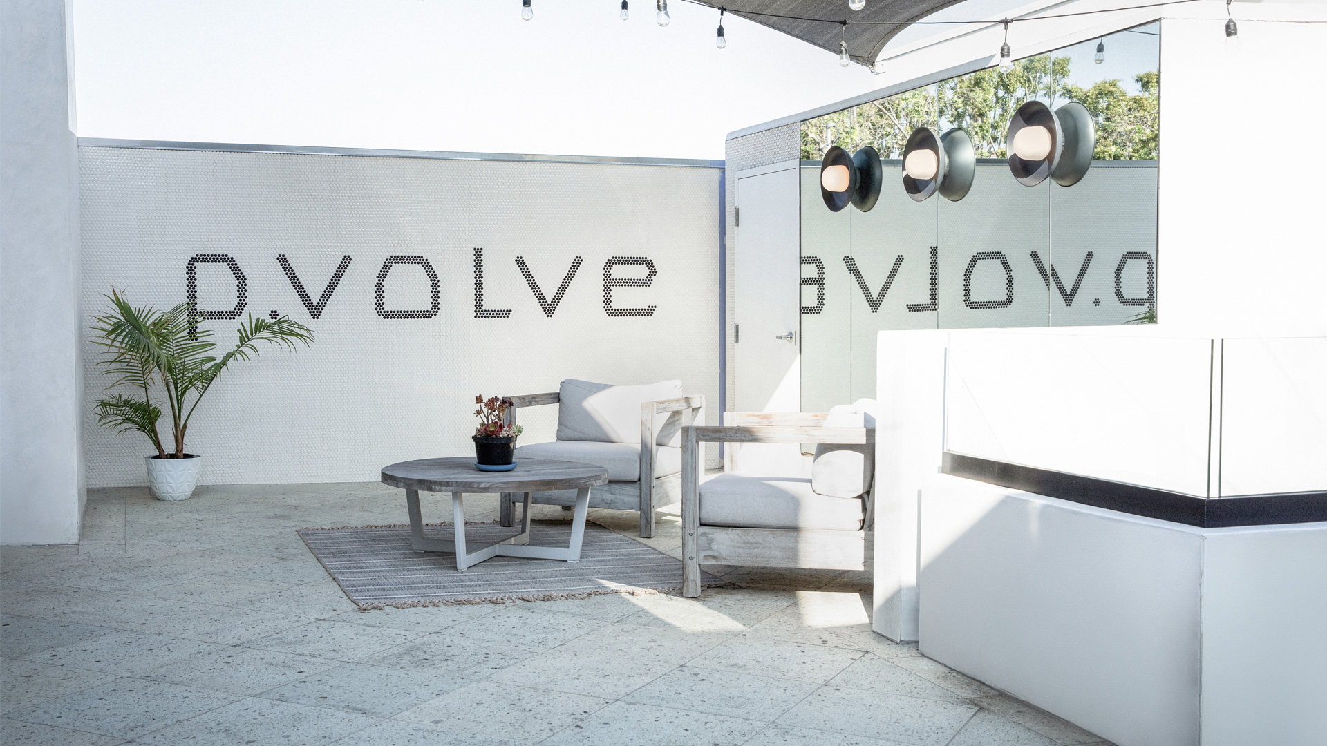 Pvolve Studio Interior with tiled wall mural